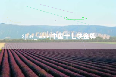 曹县中国十七块金牌
