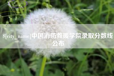 曹县中国消防救援学院录取分数线公布