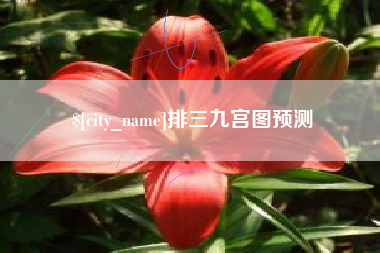 曹县排三九宫图预测