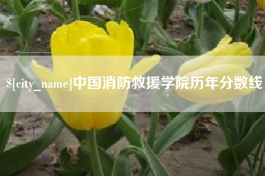曹县中国消防救援学院历年分数线
