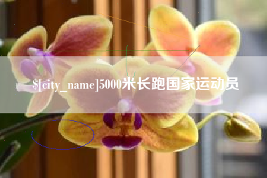 曹县5000米长跑国家运动员