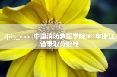 曹县中国消防救援学院2021年浙江省录取分数线