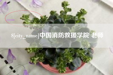 曹县中国消防救援学院 老师