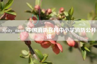 曹县中国消防官网中小学消防公开课