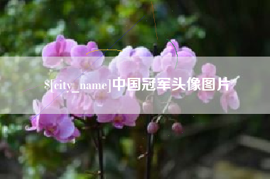 曹县中国冠军头像图片