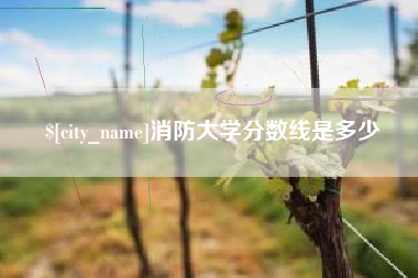曹县消防大学分数线是多少
