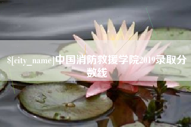 曹县中国消防救援学院2019录取分数线