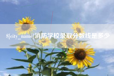 曹县消防学校录取分数线是多少
