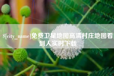 曹县免费卫星地图高清村庄地图看到人实时下载