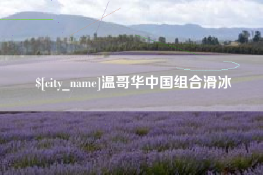 曹县温哥华中国组合滑冰