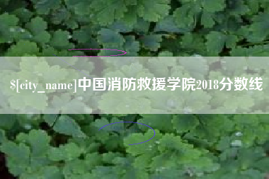 曹县中国消防救援学院2018分数线