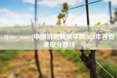 曹县中国消防救援学院2020年各省录取分数线