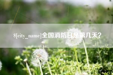 曹县全国消防日是第几天？