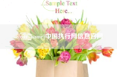 曹县中国执行网信息官网