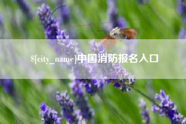 曹县中国消防报名入口