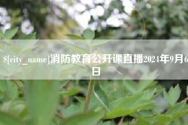 曹县消防教育公开课直播2024年9月6日