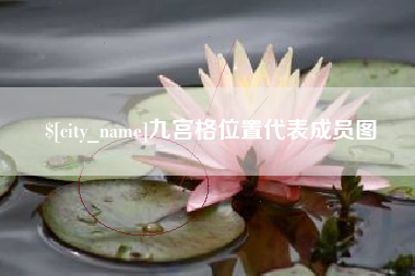 曹县九宫格位置代表成员图