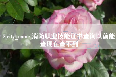 曹县消防职业技能证书查询以前能查现在查不到