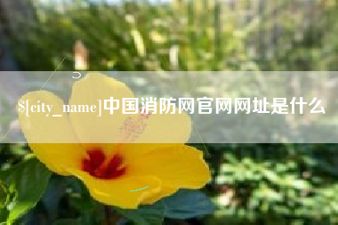 曹县中国消防网官网网址是什么