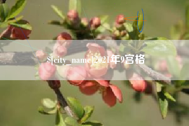 曹县2021年9宫格