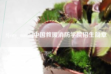 曹县中国救援消防学院招生简章