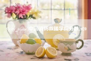 曹县中国消防救援学院分数2020