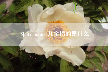 曹县九金指的是什么