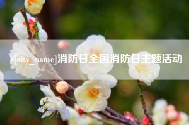 曹县消防日全国消防日主题活动