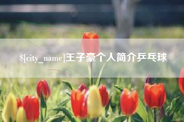 曹县王子豪个人简介乒乓球