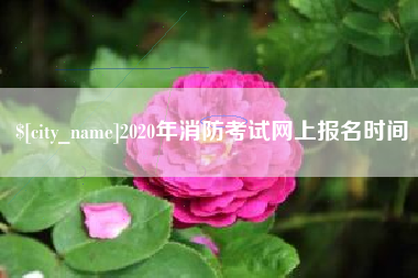 曹县2020年消防考试网上报名时间