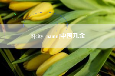 曹县中国九金