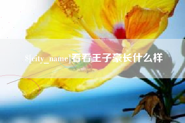 曹县看看王子豪长什么样