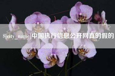 曹县中国执行信息公开网真的假的