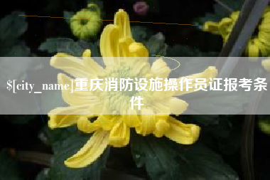 曹县重庆消防设施操作员证报考条件