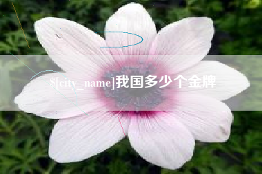 曹县我国多少个金牌