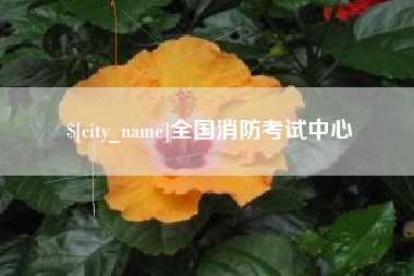 曹县全国消防考试中心