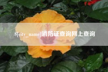 曹县消防证查询网上查询