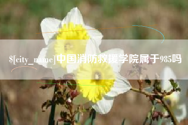 曹县中国消防救援学院属于985吗