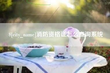 曹县消防资格证怎么查询系统