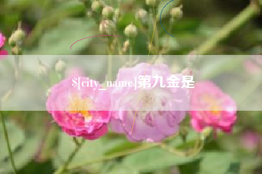 曹县第九金是