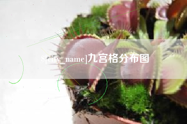曹县九宫格分布图