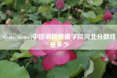 曹县中国消防救援学院河北分数线是多少