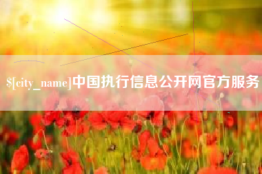 曹县中国执行信息公开网官方服务