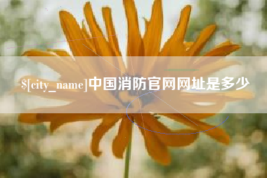 曹县中国消防官网网址是多少