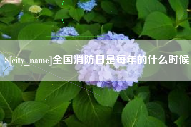 曹县全国消防日是每年的什么时候