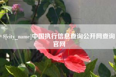 曹县中国执行信息查询公开网查询官网
