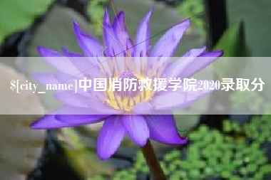曹县中国消防救援学院2020录取分