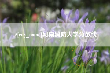 曹县河南消防大学分数线