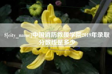 曹县中国消防救援学院2019年录取分数线是多少