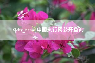 曹县中国执行网公开查询